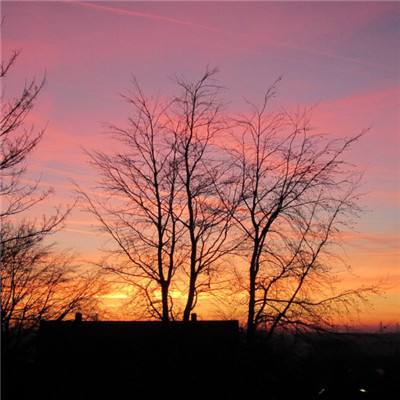 LOL外围官网下载手机版截图