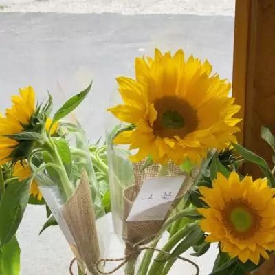 单机的打鱼游戏app下载截图